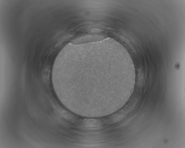 X0000116860230201002021113