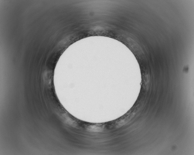 X0000116860232201002021113