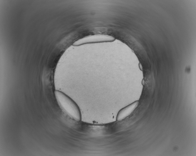 X0000116860233201002021113