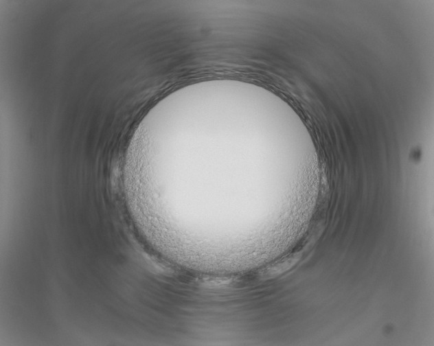 X0000116860235201002021113