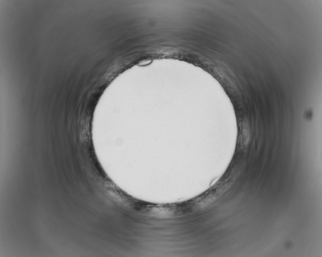 X0000116860236201002021113