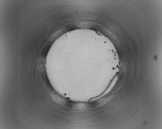 X0000116860237201002021113