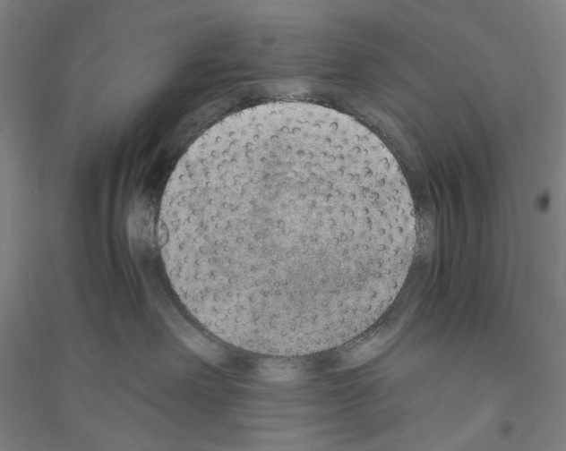 X0000116860238201002021113