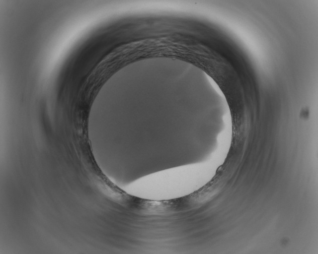 X0000116860239201002021113