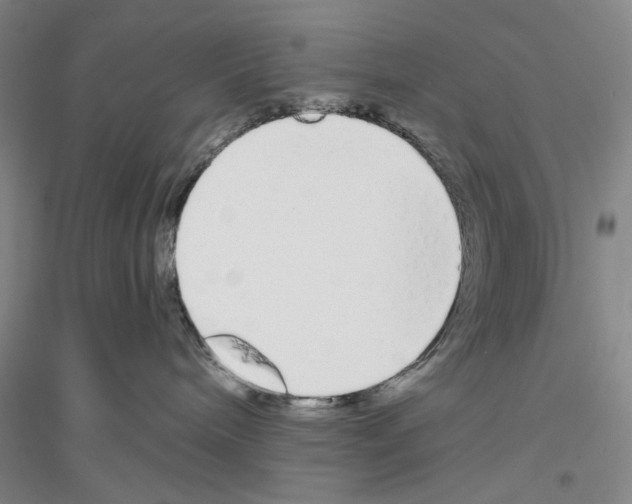 X0000116860240201002021113