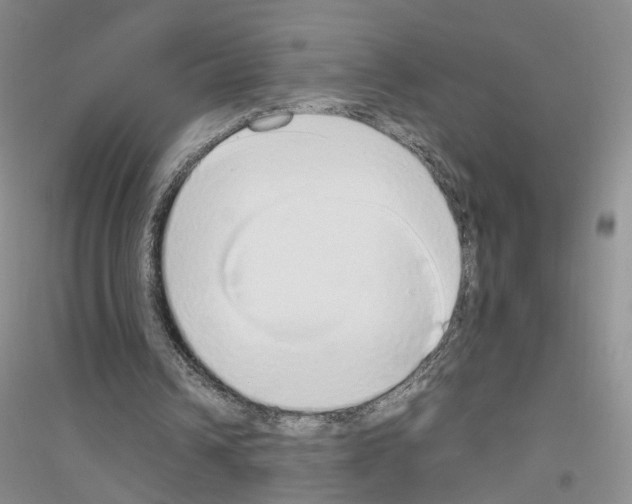 X0000116860242201002021112