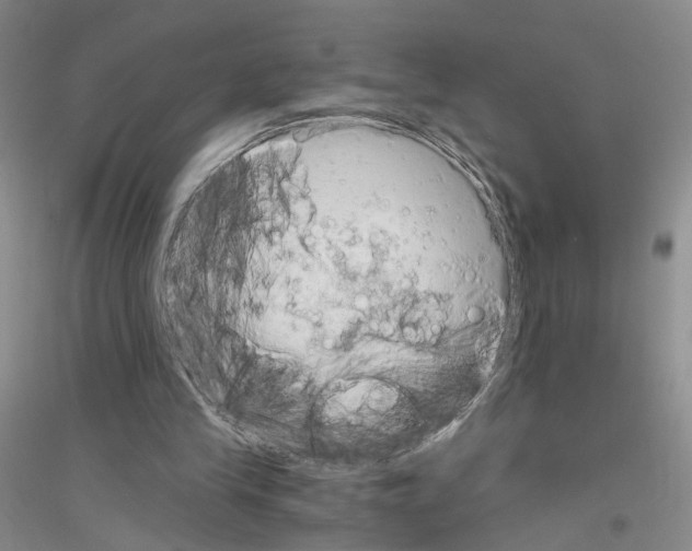 X0000116860245201002021112