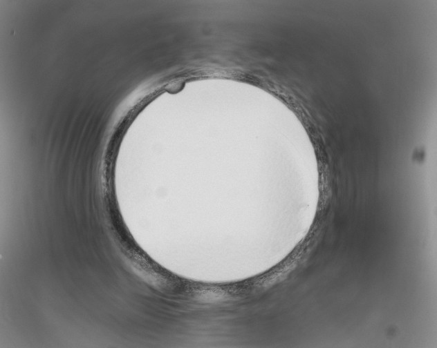 X0000116860246201002021112