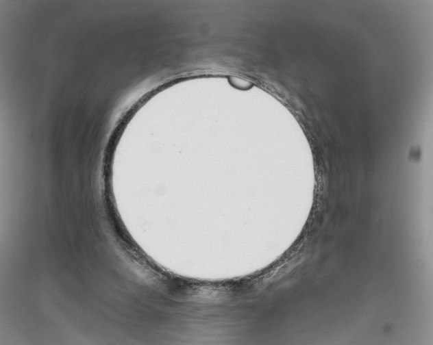 X0000116860248201002021112