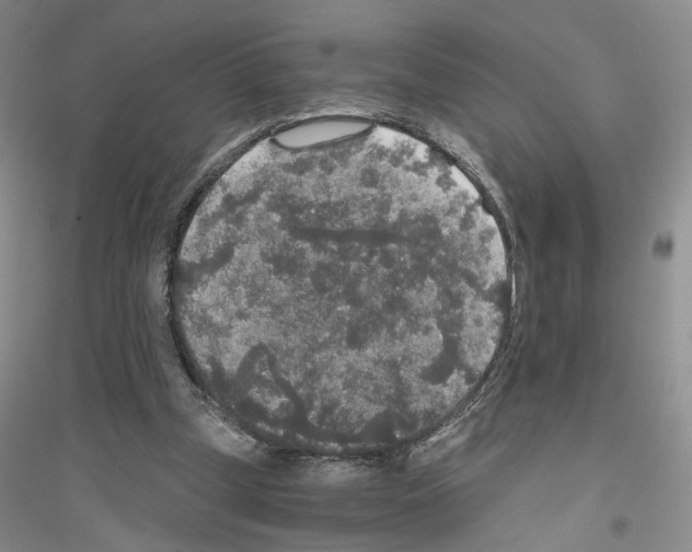 X0000116860249201002021112