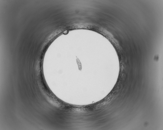 X0000116860250201002021112