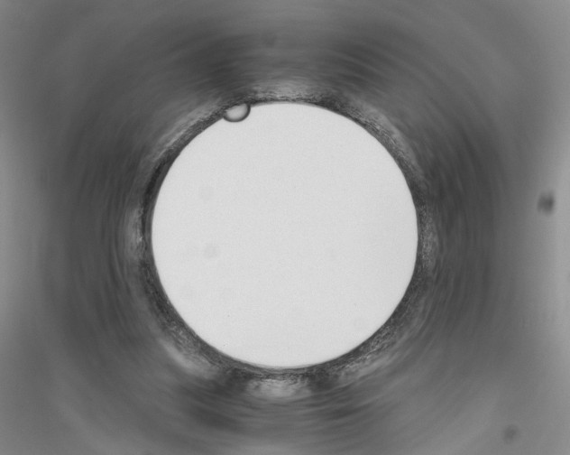 X0000116860251201002021112