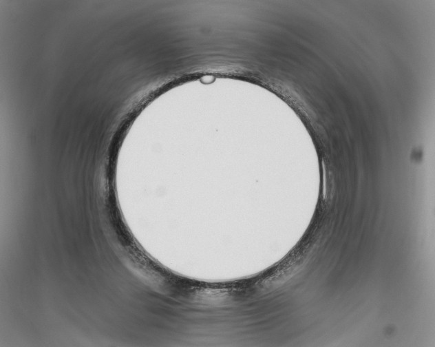 X0000116860252201002021112