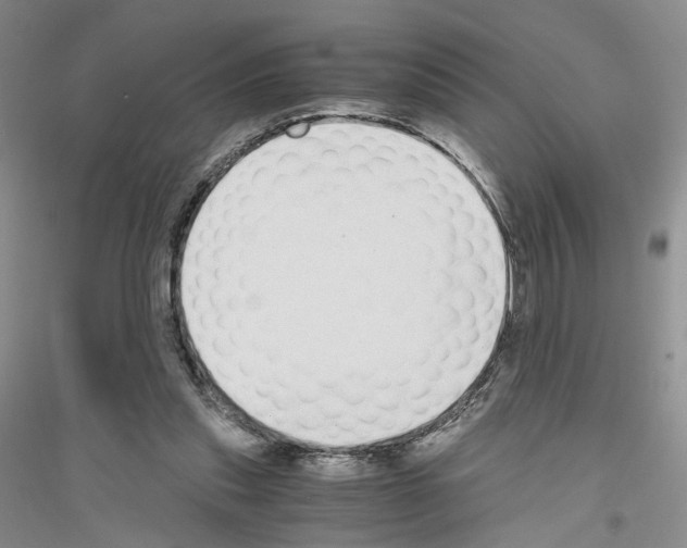 X0000116860253201002021112