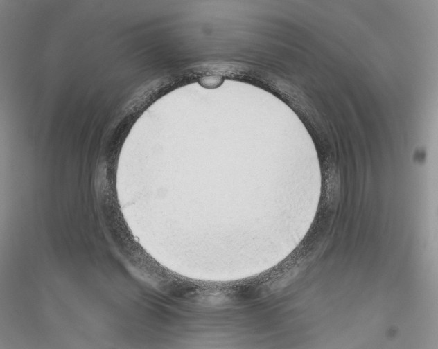 X0000116860254201002021112