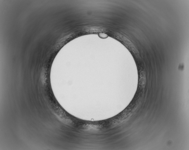 X0000116860255201002021112