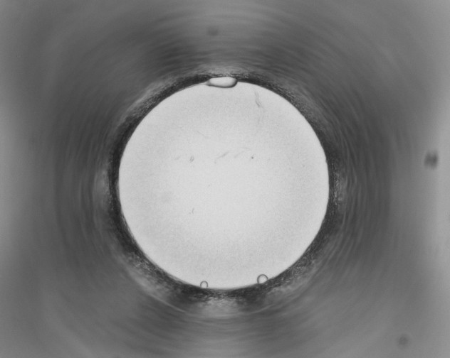 X0000116860256201002021112