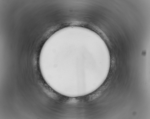 X0000116860257201002021112