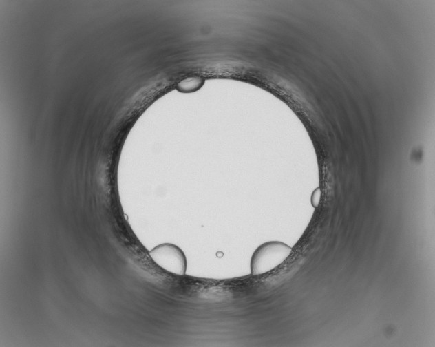 X0000116860258201002021112