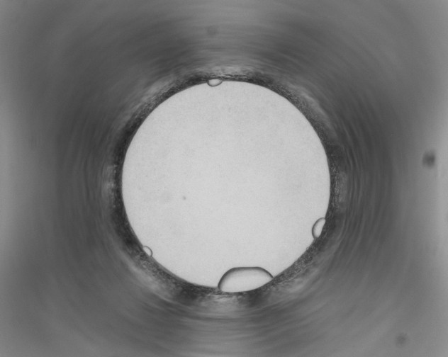 X0000116860260201002021112