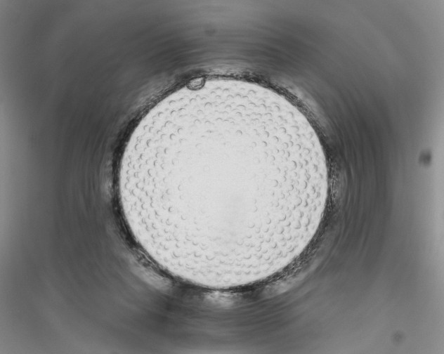 X0000116860261201002021112