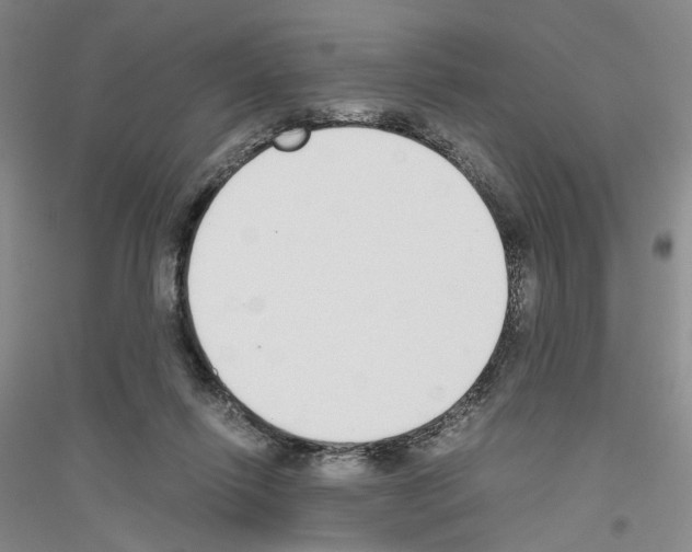 X0000116860262201002021112