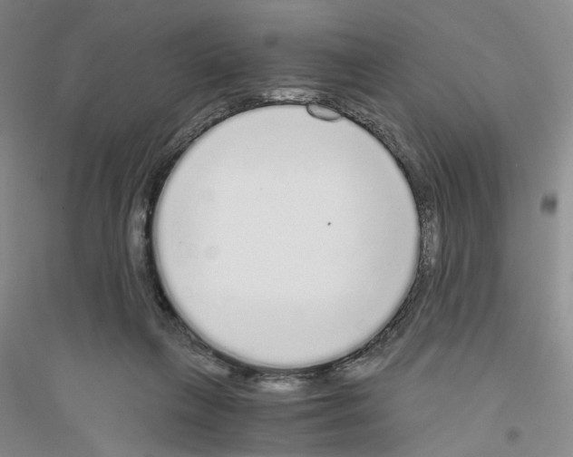 X0000116860263201002021112