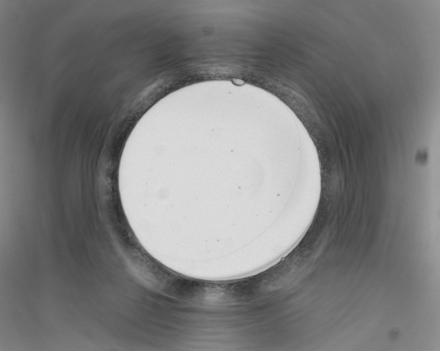 X0000116860264201002021112