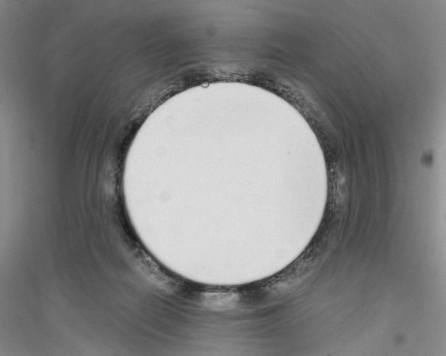 X0000116860266201002021112