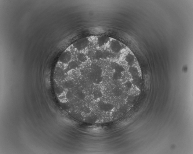 X0000116860267201002021112