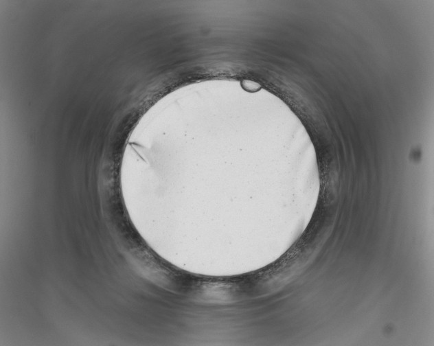 X0000116860268201002021112