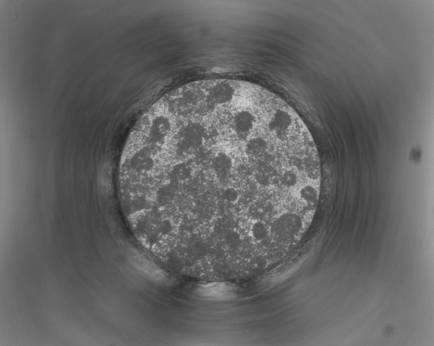 X0000116860269201002021112