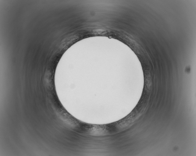 X0000116860270201002021112