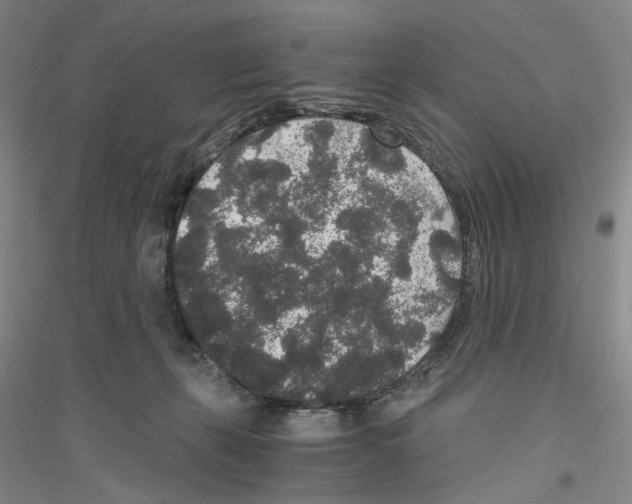 X0000116860271201002021112