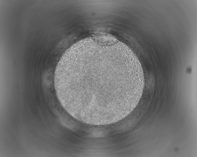 X0000116860272201002021112