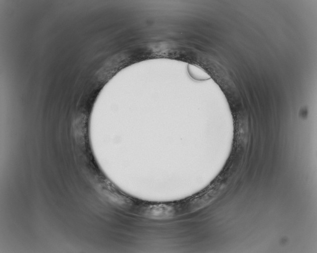 X0000116860275201002021112