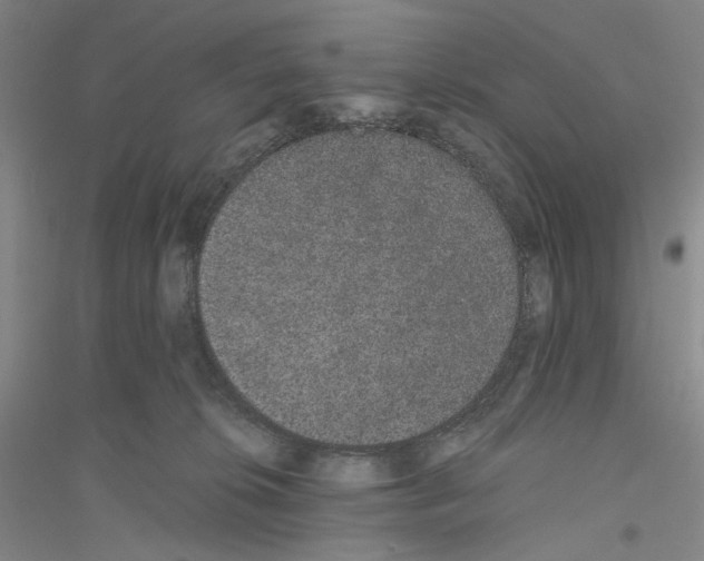 X0000116860276201002021112