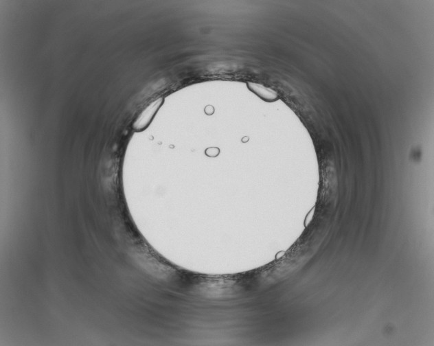 X0000116860278201002021112