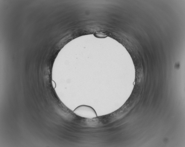 X0000116860279201002021112