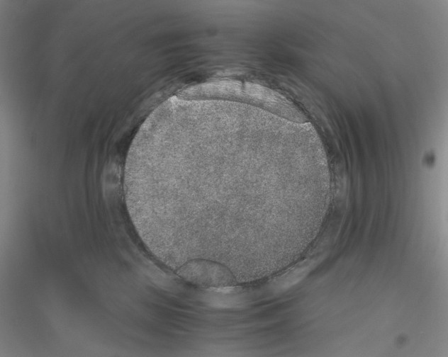 X0000116860281201002021112