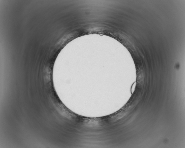 X0000116860282201002021113