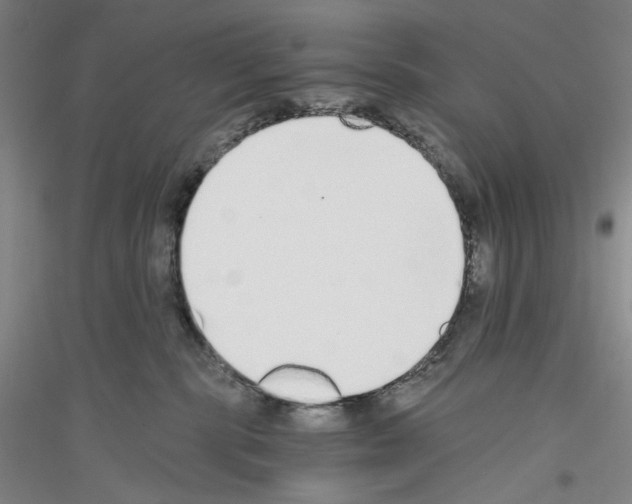 X0000116860283201002021113