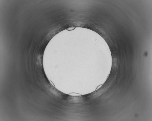 X0000116860286201002021113