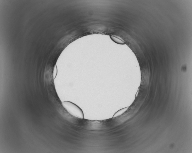 X0000116860287201002021113