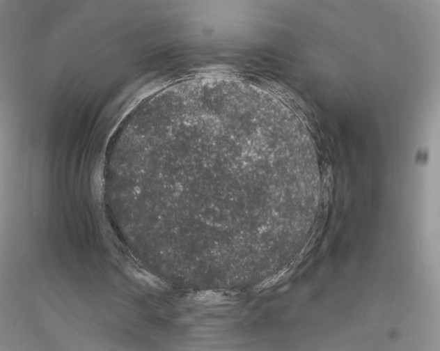 X0000116860290201002021112