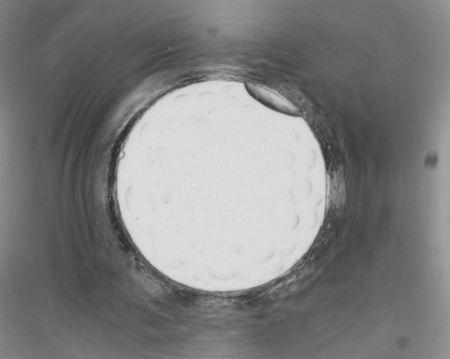 X0000116860291201002021112