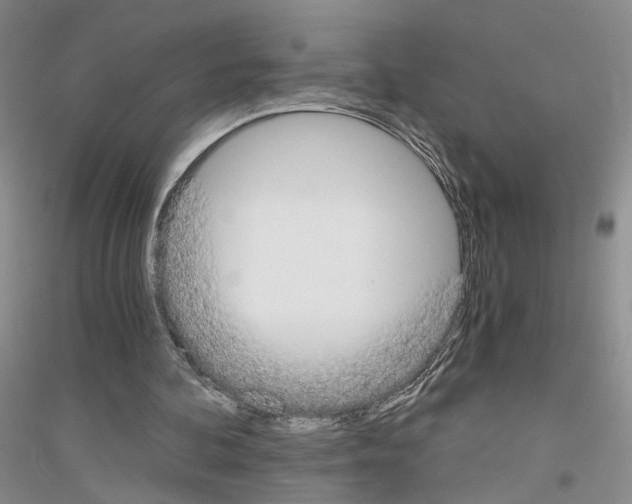 X0000116860292201002021112