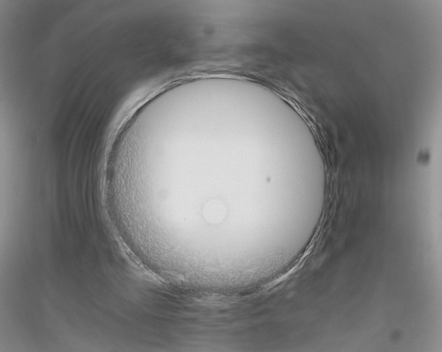 X0000116860293201002021112