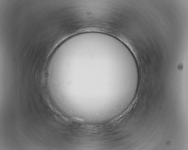 X0000116860297201002021112