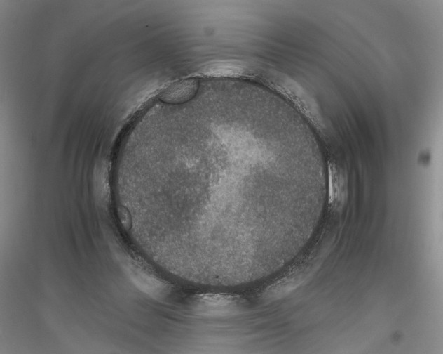 X0000116860300201002021112